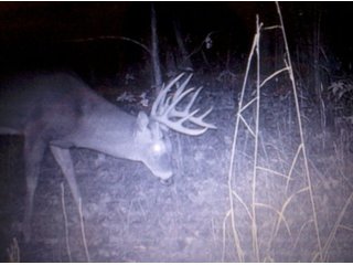 Property photo 22 - LAND AUCTION - 138+/- ACRES OFFERED IN 3 TRACTS IN SPENCER COUNTY, INDIANA